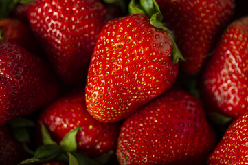 Macro shot of seasonal strawberries from the vegetable garden