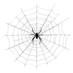 Obraz premium Spider web PNG, Horror web PNG transparent images, spider web PNG isolated on white, spider web silhouette