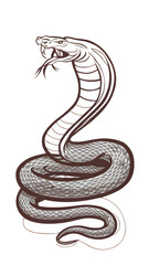 Obraz premium Viper sketch with curved head outline, transparent background.