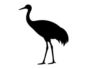 Striking Silhouette of a Sandhill Crane Standing Tall in Plain Background