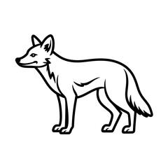 Obraz premium Jackal doodle with lean body outline, transparent background.