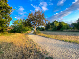 Balmore Park in Caversham, Reading