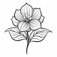 black and white flower