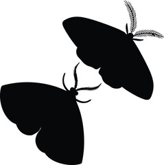 2 Vector black moth silhouette isolated on white background