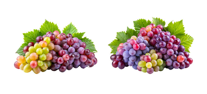 green grapes - Powered by Adobe