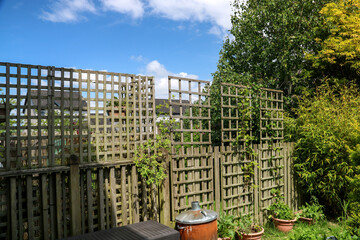 Corner of an Urban Garden with Trellis Plants and Garden Equipment on a Summer Morning