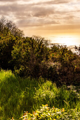 Paisaje en la Corujera, Isla de Tenerife.
