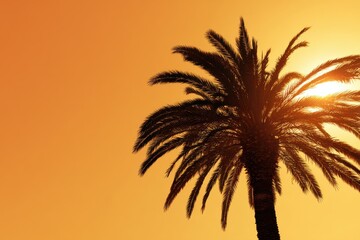 Tropical palm tree silhouette on vibrant background ideal for vacation, leisure, and summer experiences
