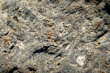 自然に形成された岩肌のクローズアップ。風化による独特の模様と質感が特徴で、背景やテクスチャー素材に最適。

