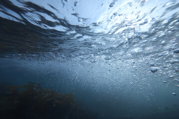 Bubbles rise in clear blue water, reminiscent of exploring an underwater world on a calm sunny day
