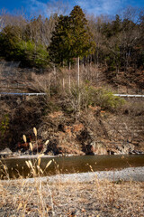 群馬県の冬、澄んだ川辺に立ち並ぶ木々と青空が広がる風景。前景には冬枯れの草が揺れ、清らかな水面が穏やかに流れる。自然の静けさと季節感が漂う、日本の田舎の冬景色。観光や旅行、自然素材、風景写真として利用可能。

