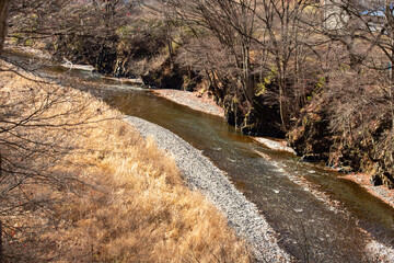群馬県の冬景色を流れる清らかな川と、冬枯れの木々が立ち並ぶ静かな河川風景。枯れ草が覆う川岸と透明感のある水面が印象的で、自然や旅行、観光イメージ、背景素材としても利用できる日本の冬の美しい景観写真。

