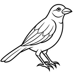 Simple Weaver Bird Monoline Artwork