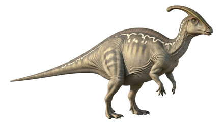 Isolated Parasaurolophus Dinosaur