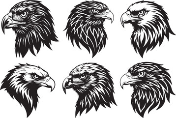 Eagle head artwork vector illustration