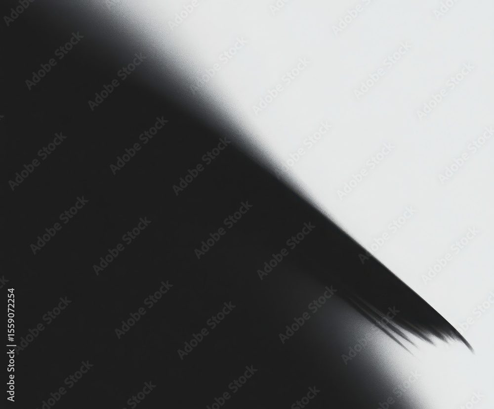 Poster dynamic black and white shadow creates a high contrast abstract background. simple composition with 
