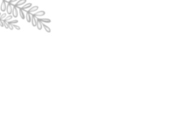 shadow A delicate, stylized branch with small, rounded leaves curves in the upper left corner.