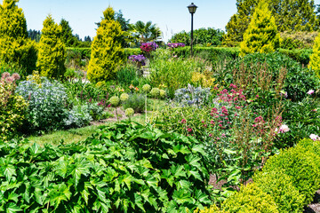 Sunken Garden Plants 8