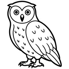 Snowy Owl Line Art Vector
