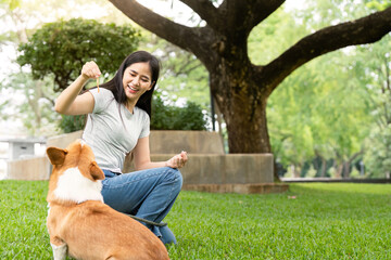 Dog Training and Bonding. Woman rewarding her corgi with a treat in a park.