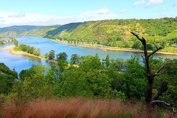 Der Rhein beim Ort Osterspai im Mittelrheintal (links) und der Bopparder Hamm (rechts). Aussicht...