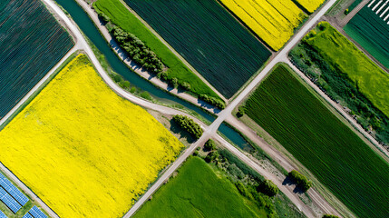Aerial View Of A Rural Solar Farm Bordered By Blooming Yellow Flower Fields In Spring Sunshine, Combining Renewable Energy Infrastructure