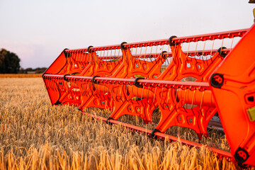 Close-up of combine harvester cutting summer barley crop