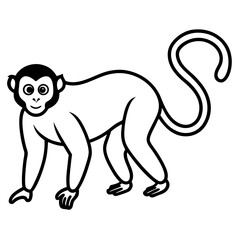 Spider Monkey Outline Design