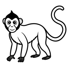 Spider Monkey Outline Design