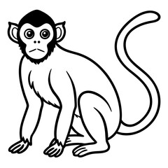 Spider Monkey Outline Design