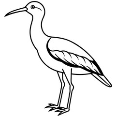 Whimbrel Bird Contour Art in Vector Style