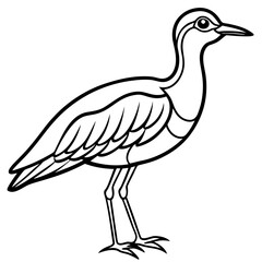 Whimbrel Bird Contour Art in Vector Style