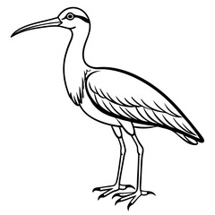Whimbrel Bird Contour Art in Vector Style