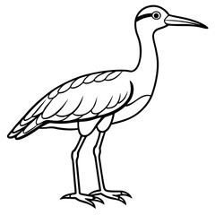 Whimbrel Bird Contour Art in Vector Style
