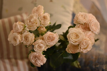 White Rose Bouquet on Couch with Pillows