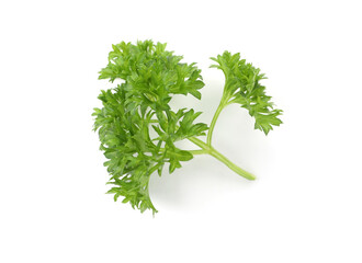 Sprig of fresh parsley isolated on white