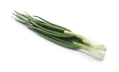 Fresh ripe green onions isolated on white