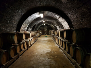 Oak barrels aging in the dark cellar of Bataapati, Hungary