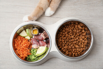 Cat with dry pet food and natural products on white wooden floor, top view