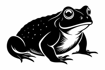 american toad sihouette black vector
