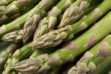 Many fresh raw asparagus spears as background, closeup