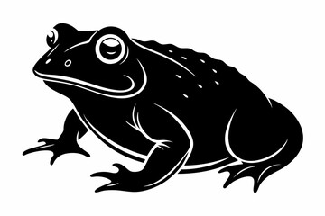 american toad sihouette black vector
