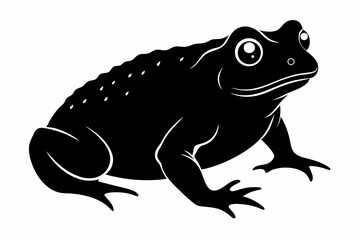 american toad sihouette black vector