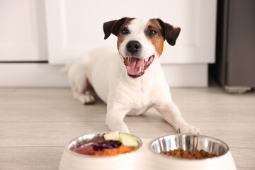 Cute dog and bowls with fresh natural products and dry pet food on floor at home, selective focus