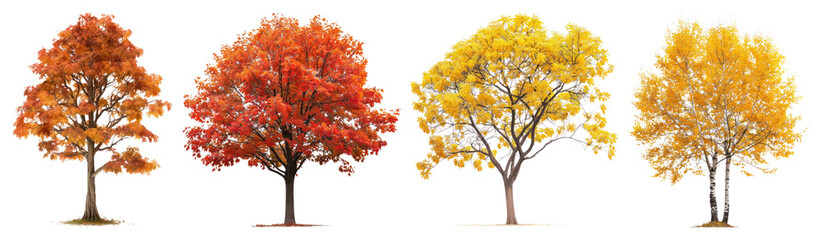 Naklejka premium PNG Vibrant autumn trees display colors, element set on transparent background