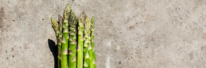 Vertical green spears of asparagus bask on a sunlit concrete canvas, epitomizing spring equinox...