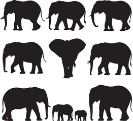 Majestic Elephant Silhouette Vector

Wild Elephant in the Jungle Design

Gentle Giant Elephant Illustration

Elephant Family Safari Silhouette

Elephant Head Vector Art