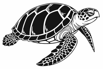 box turtle sihouette black vector