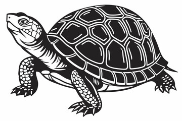 box turtle sihouette black vector
