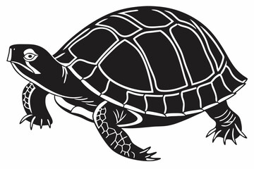 box turtle sihouette black vector